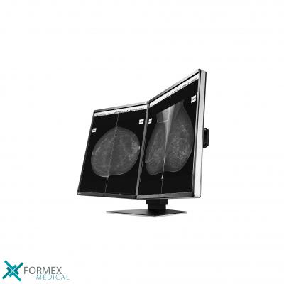 Medische Monitoren: Eizo GX560-MD RadiForce